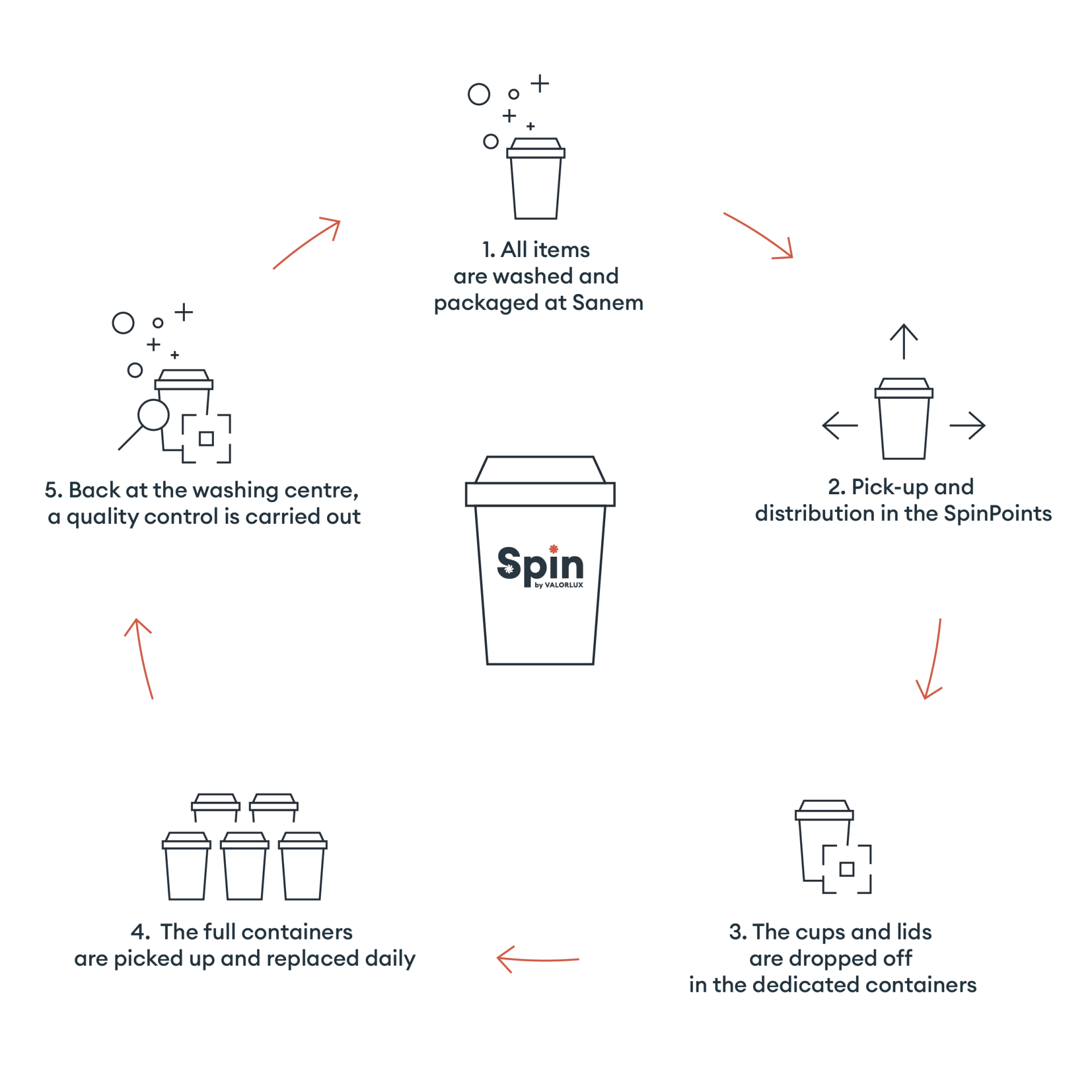 steps spin system